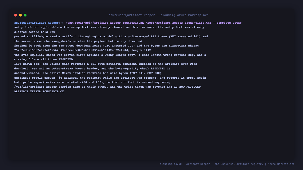 The artifact round trip: repository created, artifact uploaded, raw bytes fetched back byte-identical, and the registry left empty