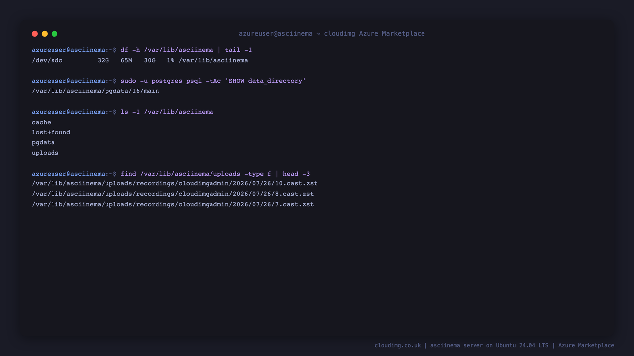 The data disk carrying uploads, the render cache and the PostgreSQL cluster