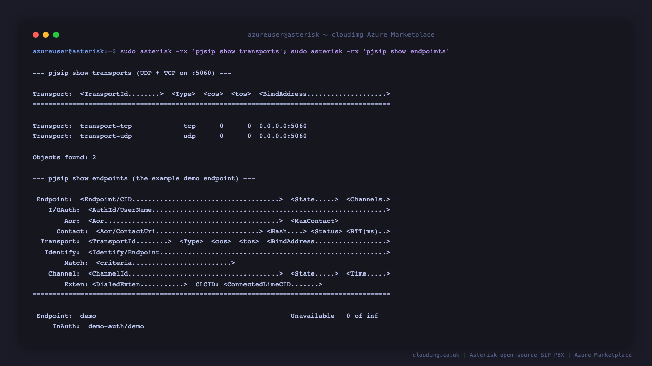 Asterisk PJSIP showing the UDP and TCP transports bound to port 5060 and the example demo endpoint with its associated authentication and address of record