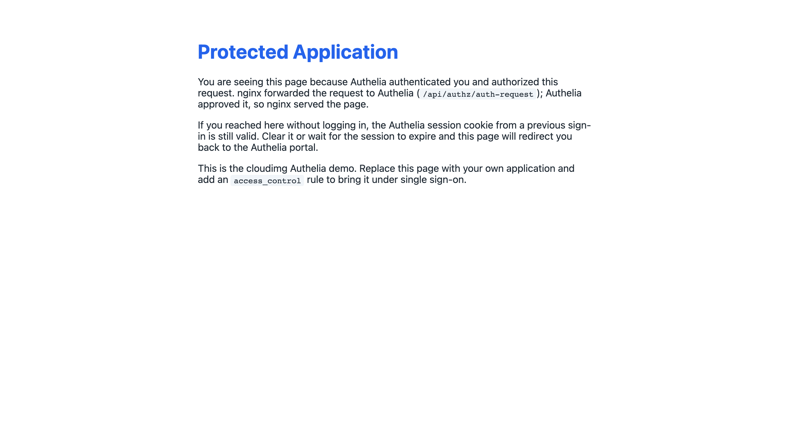 The demo protected page served after a successful login