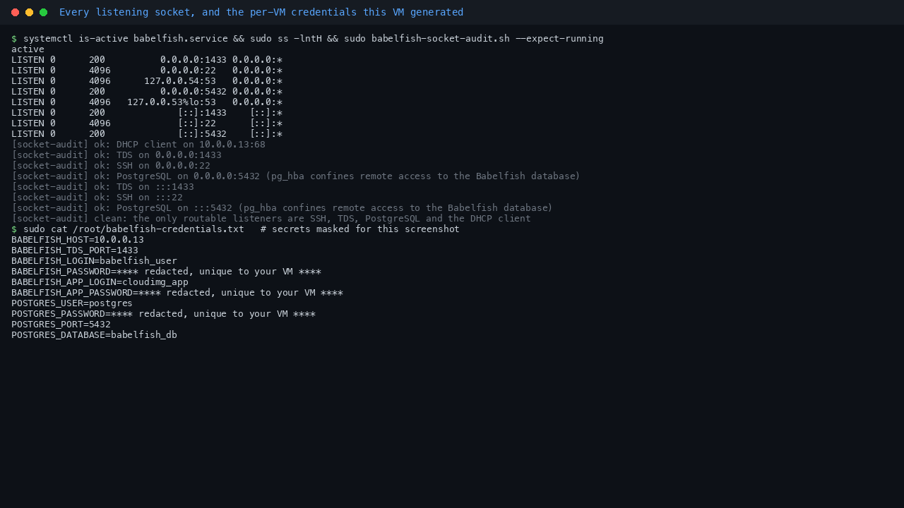The output of ss showing listeners on 0.0.0.0:1433, 0.0.0.0:22 and 0.0.0.0:5432 and nothing else routable, the socket audit reporting a clean result, and the per-VM credentials file with its passwords masked