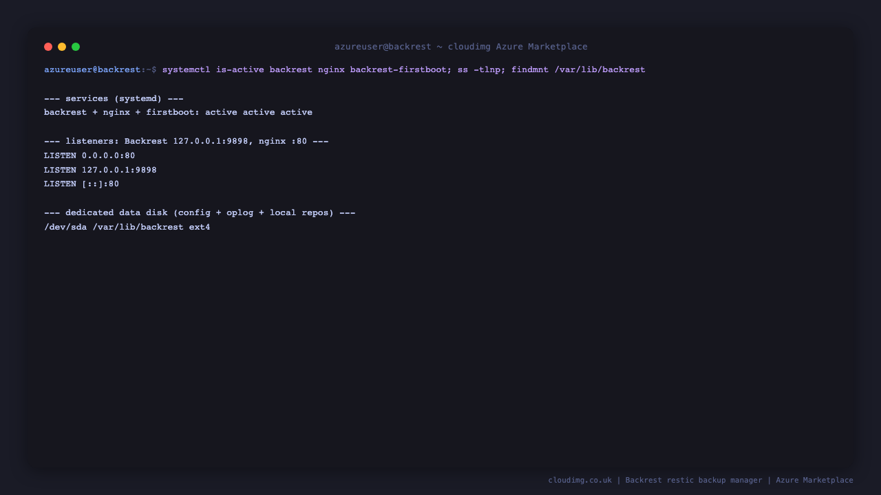The backrest, nginx and backrest-firstboot services active, with nginx on port 80, the Backrest server bound to loopback 127.0.0.1:9898, and the dedicated data disk mounted at /var/lib/backrest