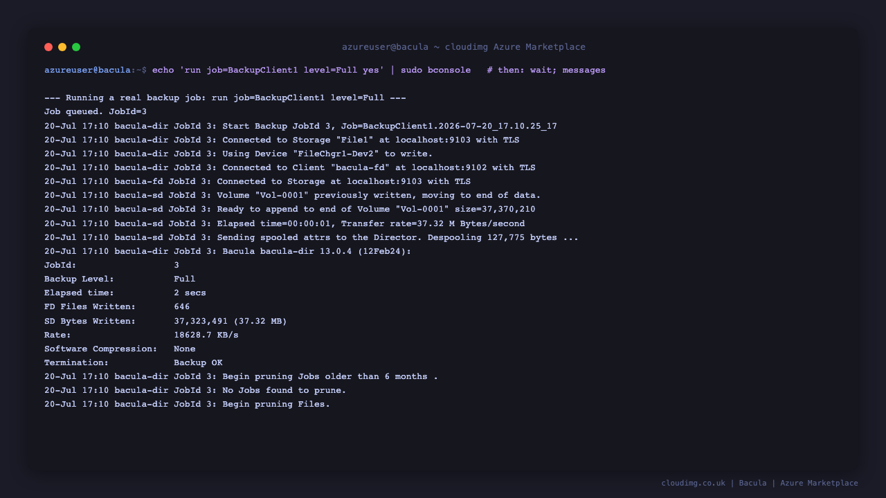 Running the BackupClient1 job at full level: bconsole shows the job queued as JobId 3, connects to the Storage and File daemons over TLS, writes to volume Vol-0001, and reports 646 files written, 37.32 MB and Termination Backup OK