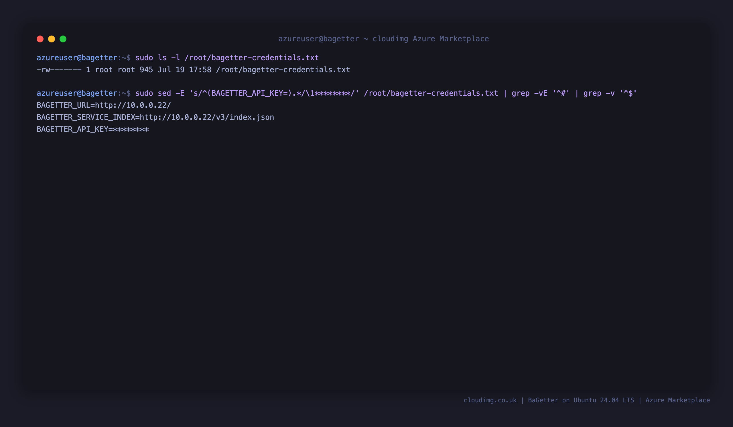 The per-VM BaGetter credentials file listed as mode 0600 root:root, with the API key value redacted and the service index and gallery URLs shown