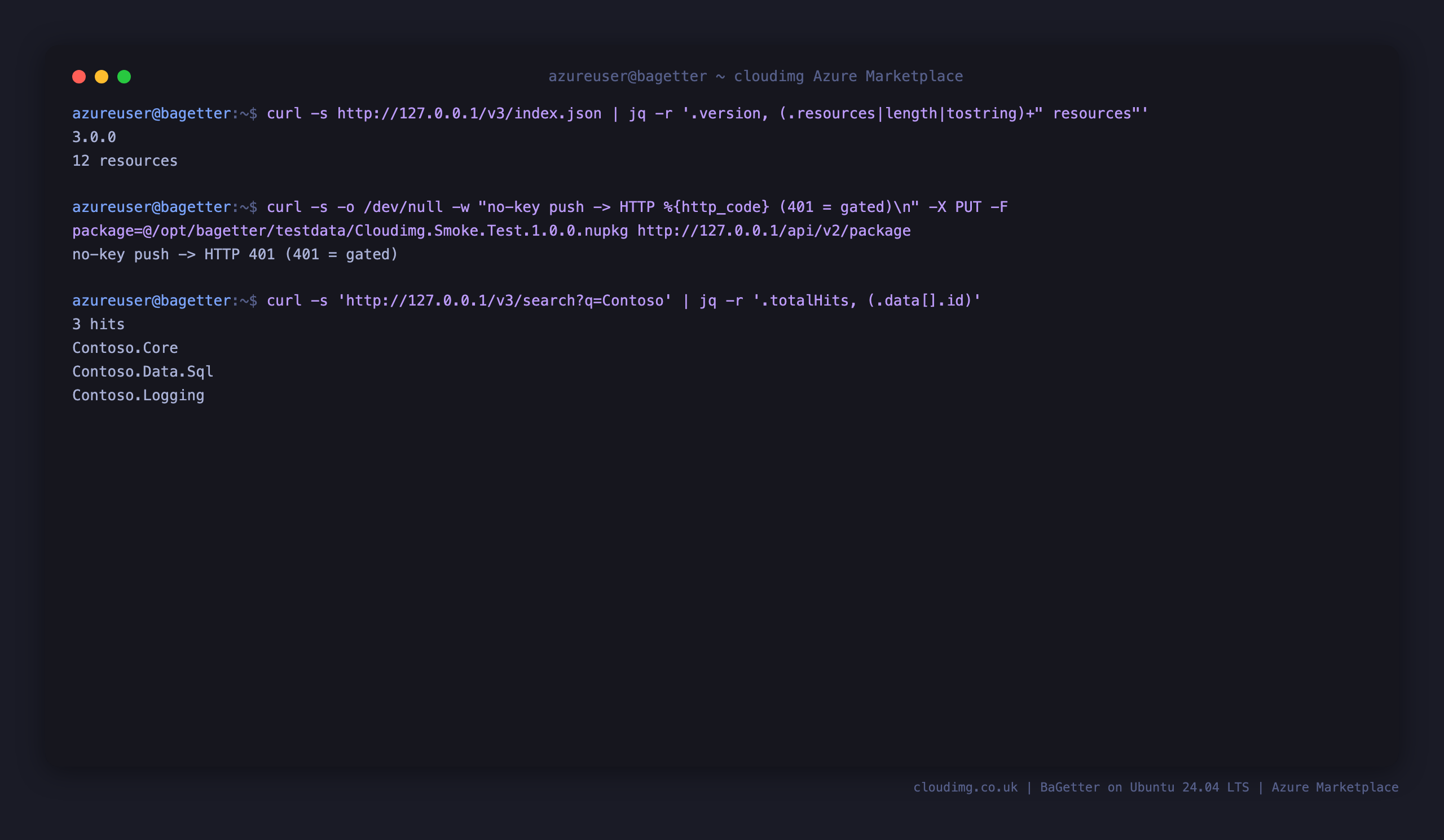 The BaGetter NuGet v3 service index reporting its version and resource count, a no-key push rejected with HTTP 401, and the hosted private packages returned by a search query