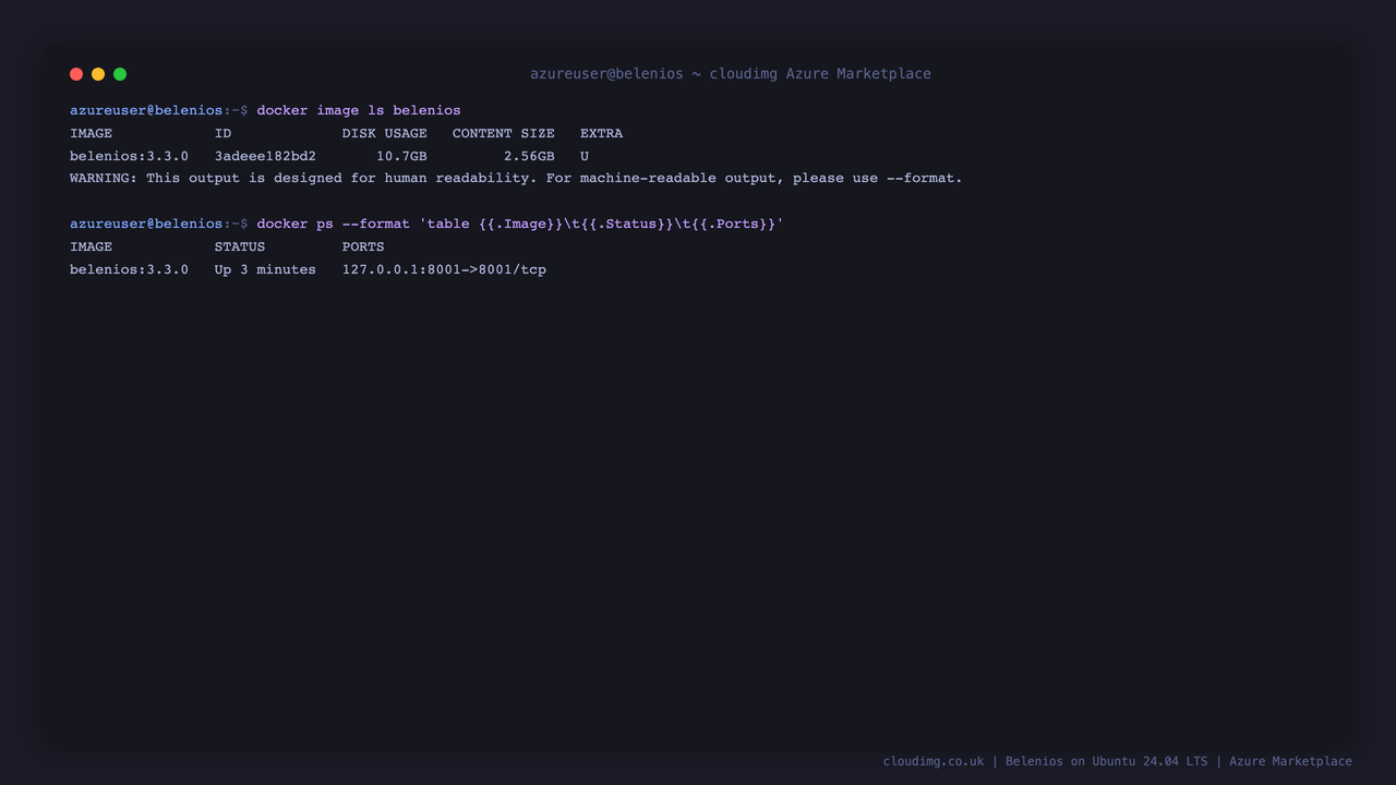 The pinned Belenios image and the loopback-published service