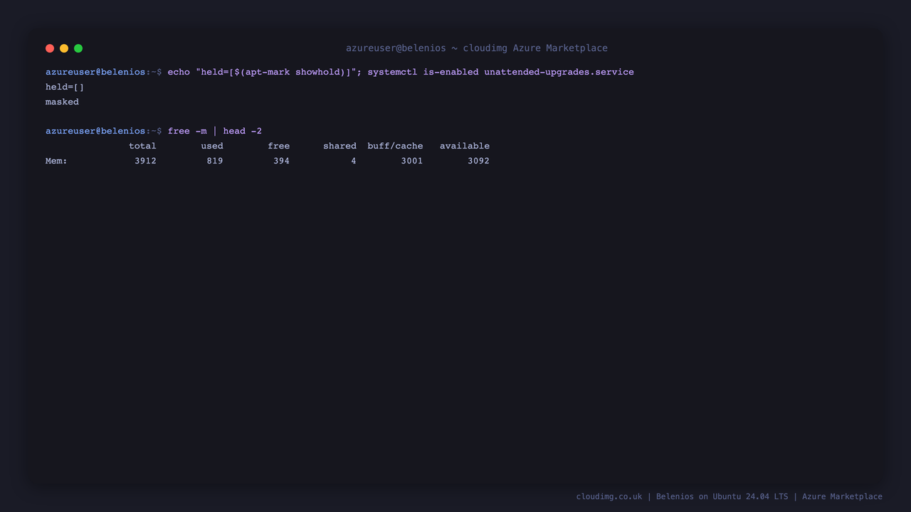 The OS security baseline and the running Belenios stack