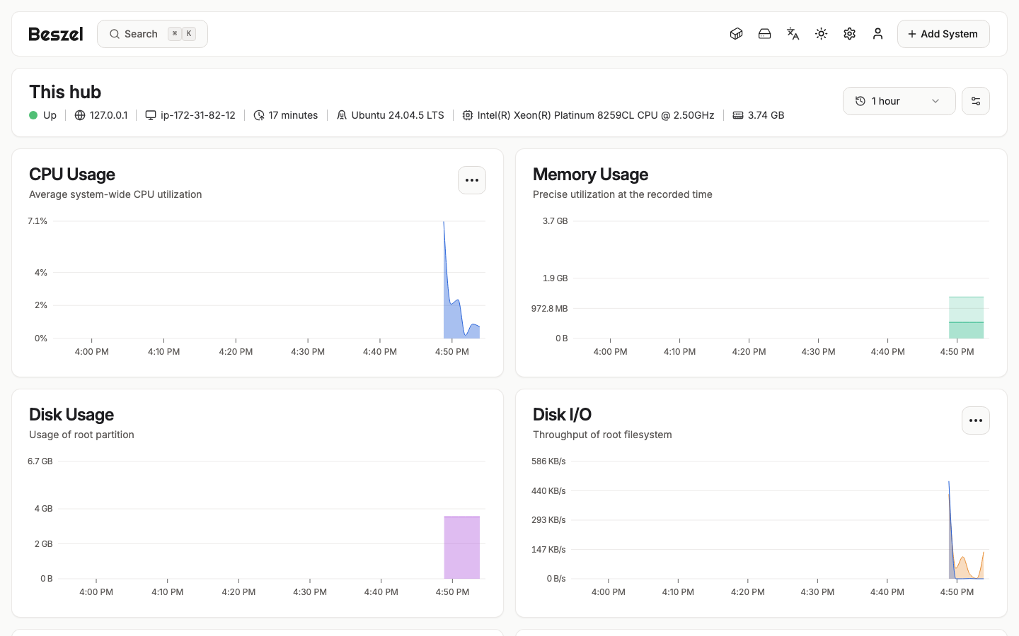 The This hub system page with CPU usage, memory usage, disk usage and disk I/O charts over the last hour