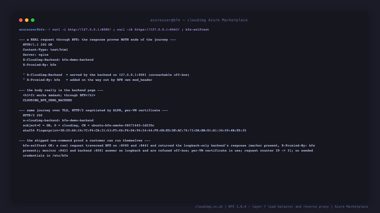 A single curl showing the full proxy traversal: HTTP 200 with the demo backend's own X-Cloudimg-Backend header and page body, plus the X-Proxied-By bfe header that BFE's mod_header added on the way out, the same request succeeding over TLS with HTTP/2 negotiated, and the shipped bfe-selftest command confirming the whole path in one line