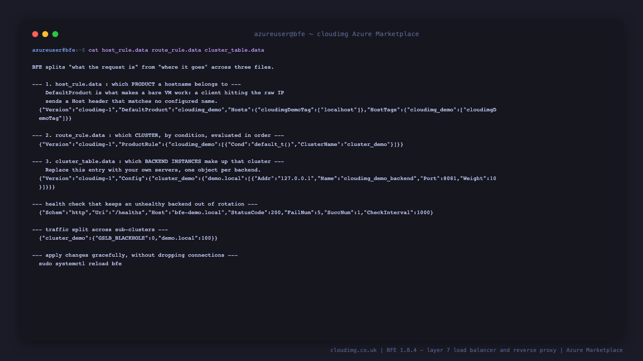 The three BFE routing files that decide where traffic goes: the host rule mapping hostnames to a product, the route rule matching requests to a cluster with BFE's condition language, and the cluster table listing the backend instances with their addresses, ports and weights, alongside the health check configuration