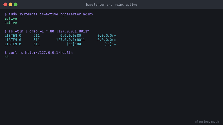 Terminal showing the bgpalerter and nginx services active, the status API bound to loopback 8011 with nginx fronting port 80, and the public health endpoint returning ok