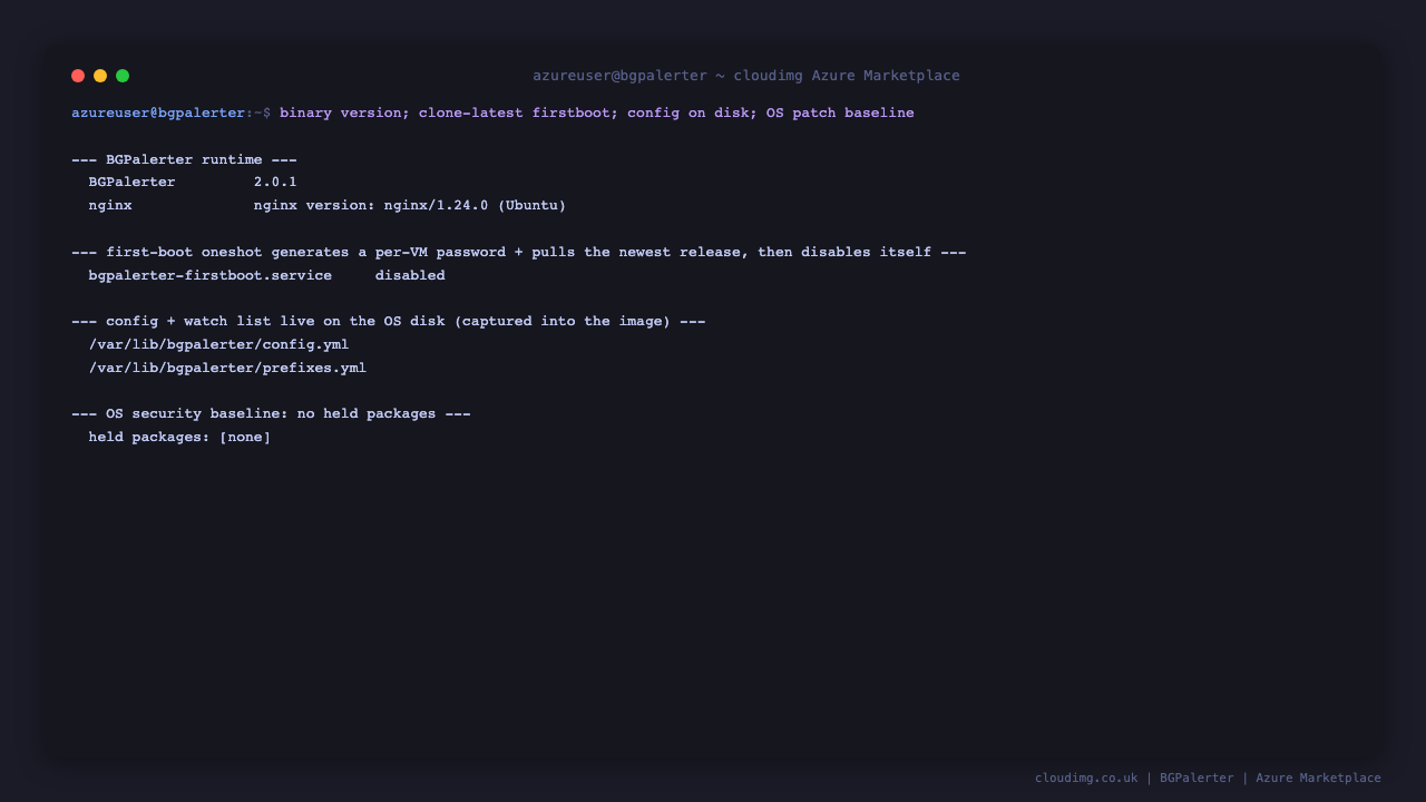 Terminal showing the BGPalerter binary version, the first boot service, the configuration on the OS disk and a clean OS security baseline with no held packages