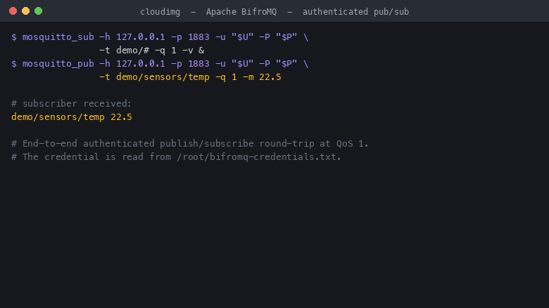 A publish and subscribe round trip completing against the authenticated broker