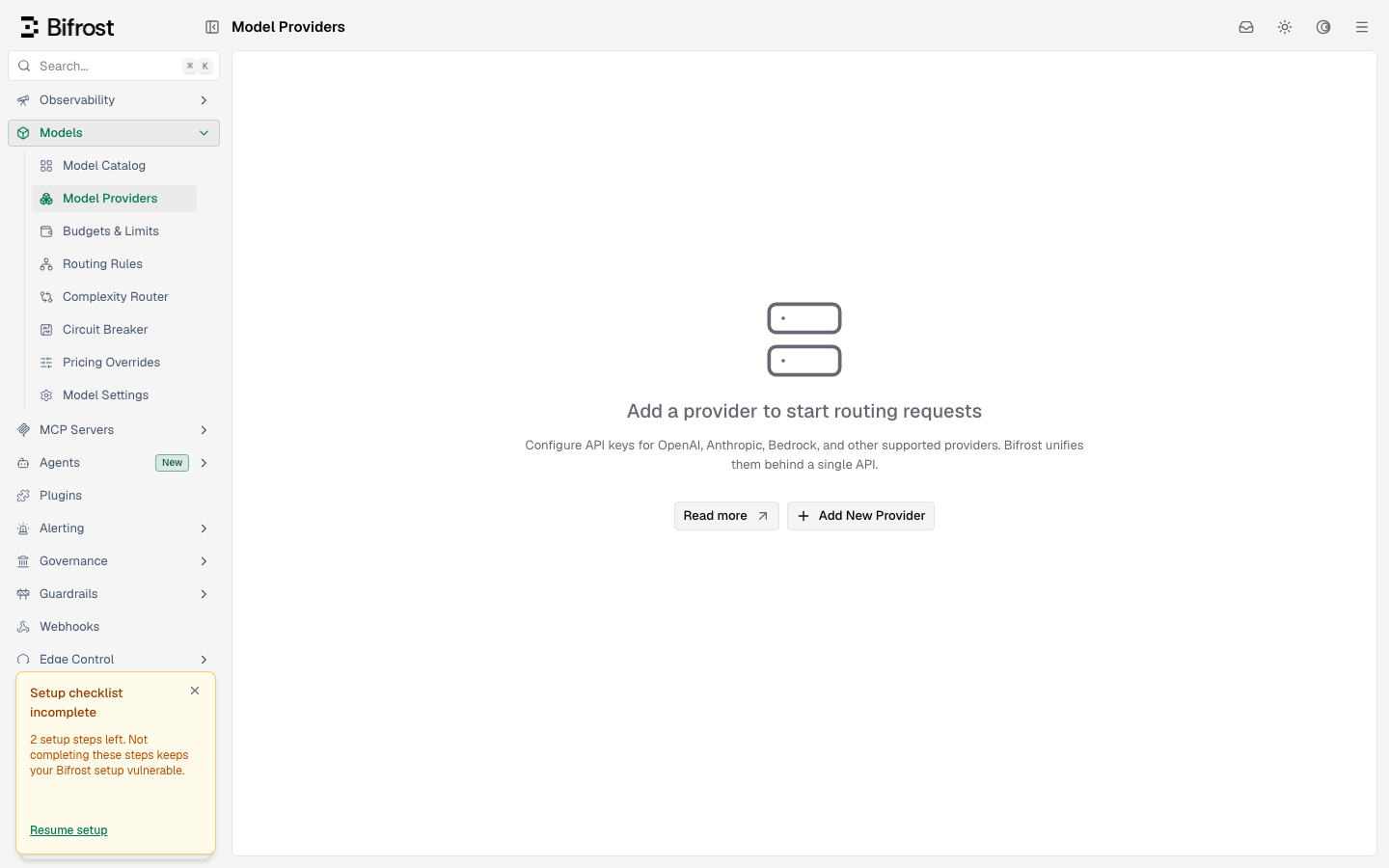 The Bifrost Model Providers page on a freshly launched instance, with no provider configured and the Add New Provider button