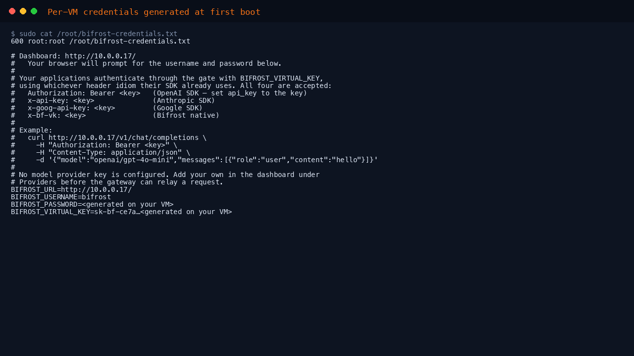 The per-VM credentials file, mode 600 root:root, with the dashboard password and virtual key generated uniquely on this VM