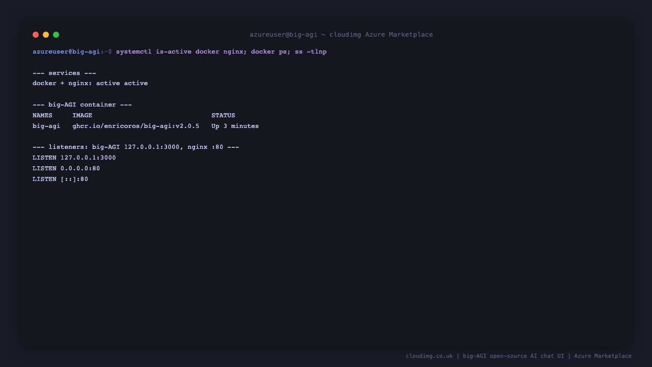 docker.service and nginx.service active, and the big-agi container healthy on the loopback connector 3000