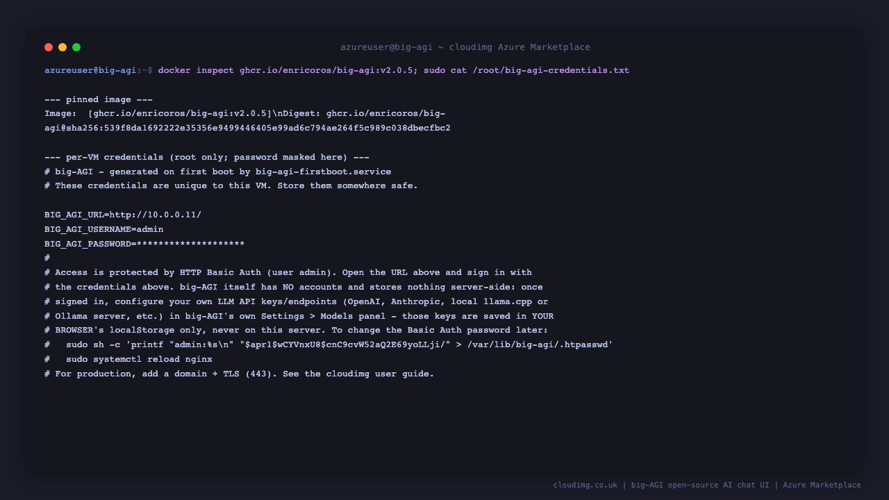 The pinned big-AGI image digest and the per-VM credentials file with the generated admin password and URL