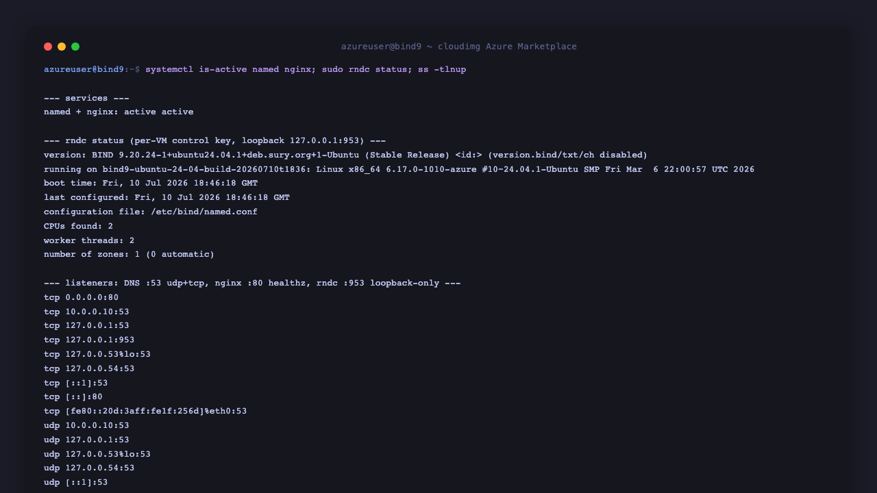 named.service and nginx.service both active; rndc status reports the server up with the per instance control key; ss shows DNS listening on port 53 udp and tcp, nginx on port 80, and the rndc control channel bound to 127.0.0.1 port 953 loopback only