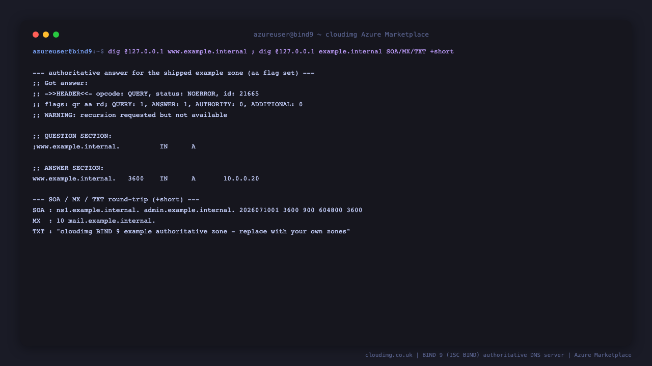 dig for www.example.internal returns an authoritative answer with the aa flag set and the A record 10.0.0.20, and the SOA, MX and TXT records for example.internal are returned with the plus short option