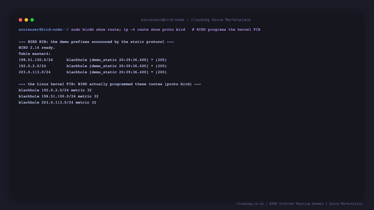 birdc show route lists the three demo prefixes as blackhole routes in BIRD's master4 table from the demo_static protocol, and ip -4 route show proto bird shows the same three prefixes actually installed as blackhole routes in the Linux kernel forwarding table by BIRD