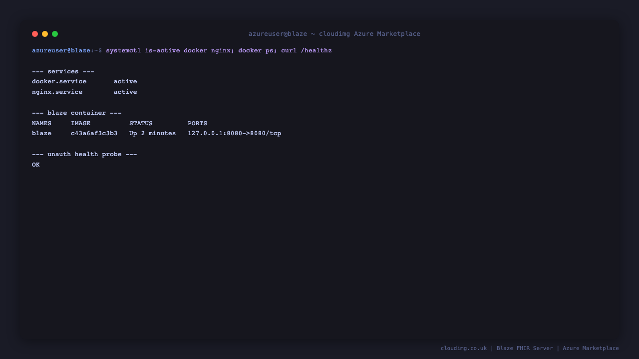 The docker and nginx services active and the Blaze container running on loopback 127.0.0.1:8080, image pinned by digest