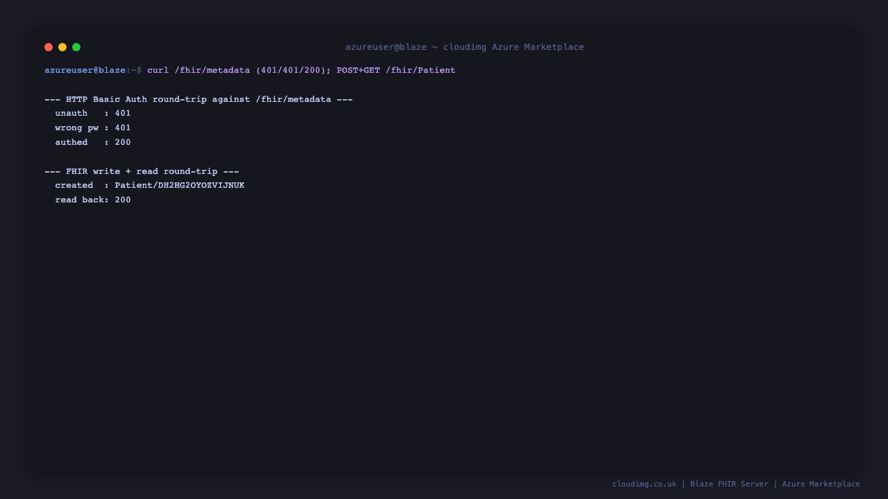 The HTTP Basic Auth round-trip returning 401 unauthenticated, 401 for a wrong password and 200 with the per-VM password, followed by a FHIR POST Patient and GET read-back both succeeding