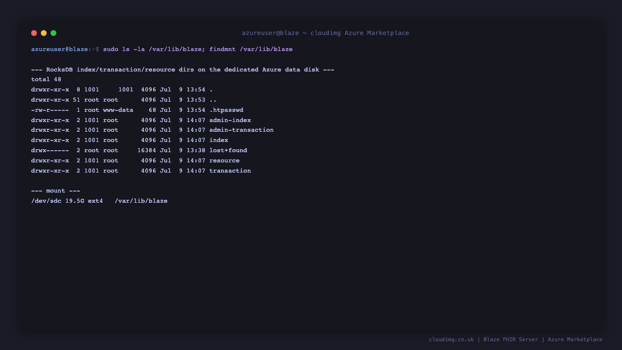 Blaze's RocksDB index, transaction and resource directories on the dedicated data disk, followed by a container restart and the same Patient resource still reading back 200 afterward