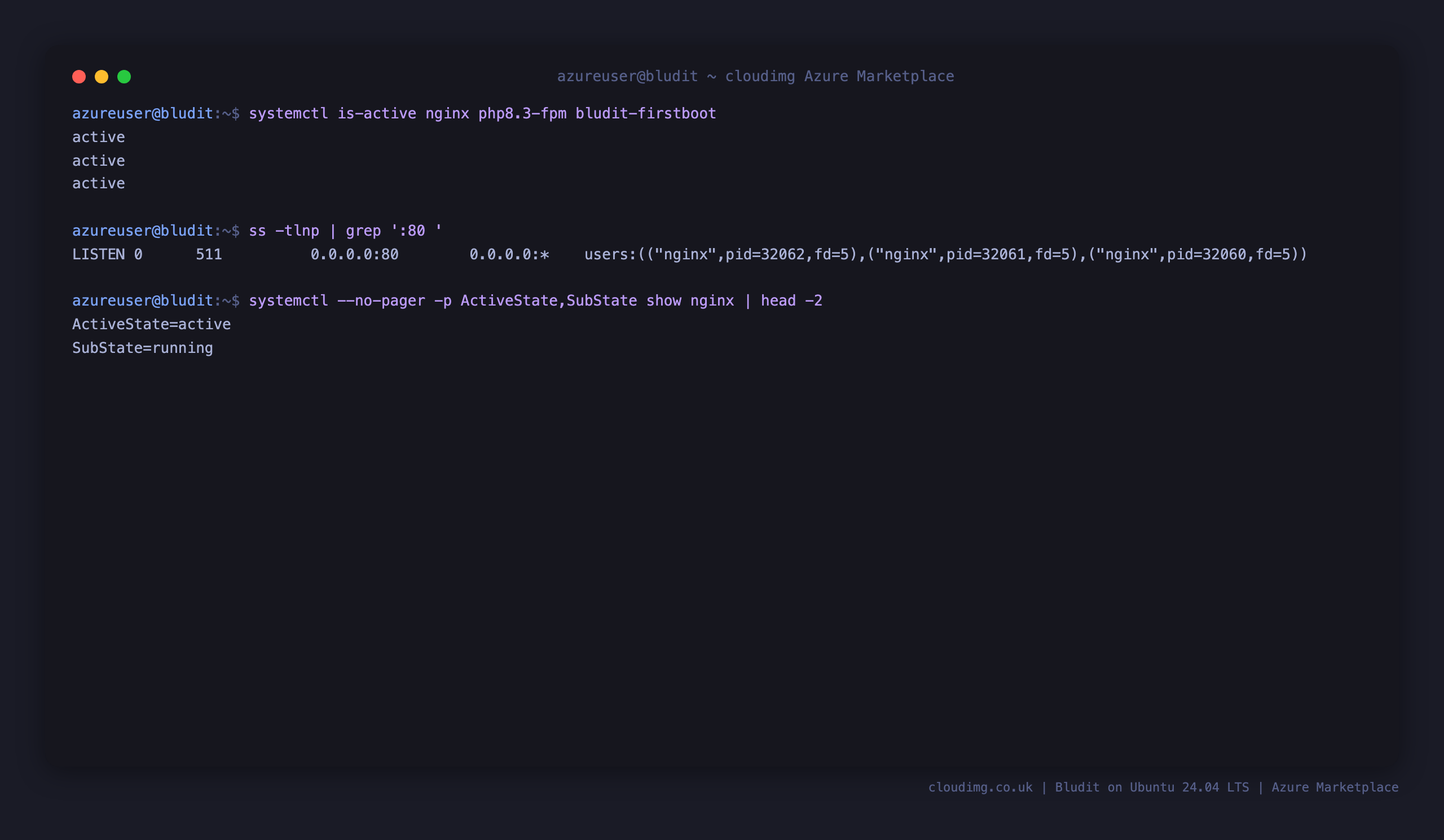 nginx, php8.3-fpm and the bludit-firstboot service active, with nginx listening on port 80