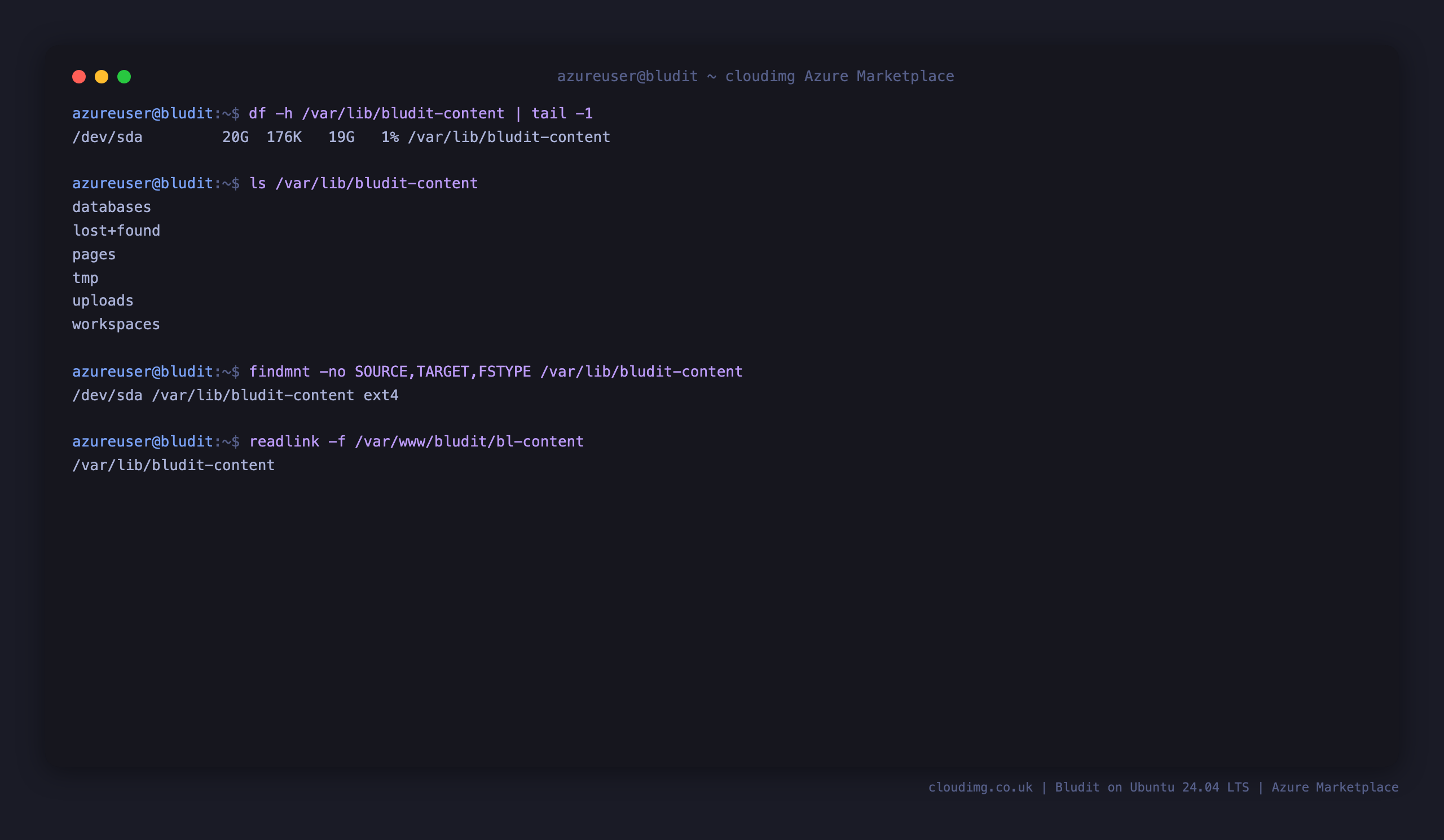 The Bludit content directory on the dedicated ext4 data disk, and the bl-content symlink pointing to it