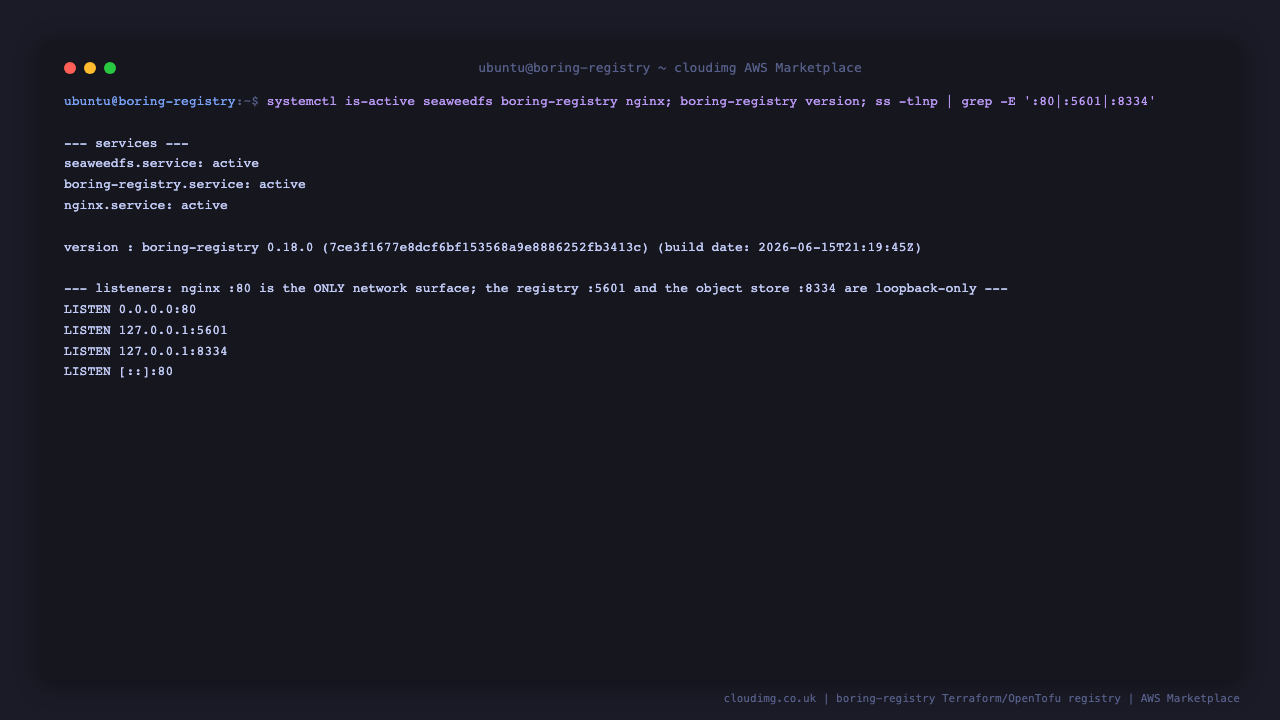 systemctl reports seaweedfs, boring-registry and nginx all active, the boring-registry binary reports version 0.18.0, and ss shows nginx listening on port 80 on all interfaces while the boring-registry server is bound to loopback 127.0.0.1 on port 5601 and the bundled object store on loopback port 8334
