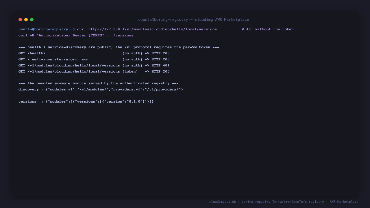 the health probe and service discovery document return HTTP 200 without credentials, the module versions endpoint returns HTTP 401 without the token and HTTP 200 with the per instance Bearer token, and the authenticated response lists version 0.1.0 of the bundled cloudimg/hello/local example module