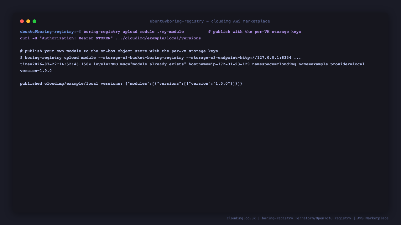 the boring-registry upload module command publishes the cloudimg/example/local module version 1.0.0 to the bundled object store using the per instance storage credentials, and the authenticated versions endpoint then returns version 1.0.0, confirming the module is live in the registry
