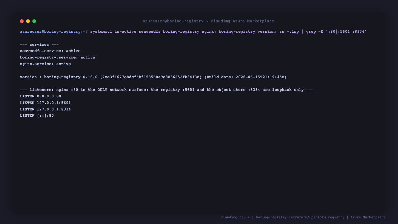 systemctl reports seaweedfs, boring-registry and nginx all active, the boring-registry binary reports version 0.18.0, and ss shows nginx listening on port 80 on all interfaces while the boring-registry server is bound to loopback 127.0.0.1 on port 5601 and the bundled object store on loopback port 8334