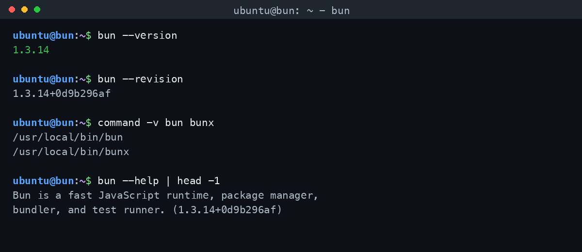 The preinstalled bun command line reporting the pinned Bun 1.3.14 release and the bun and bunx binaries resolving on the system path