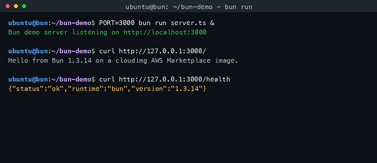 The demo HTTP server started with bun run answering the root and health endpoints over the loopback interface with no third-party dependencies