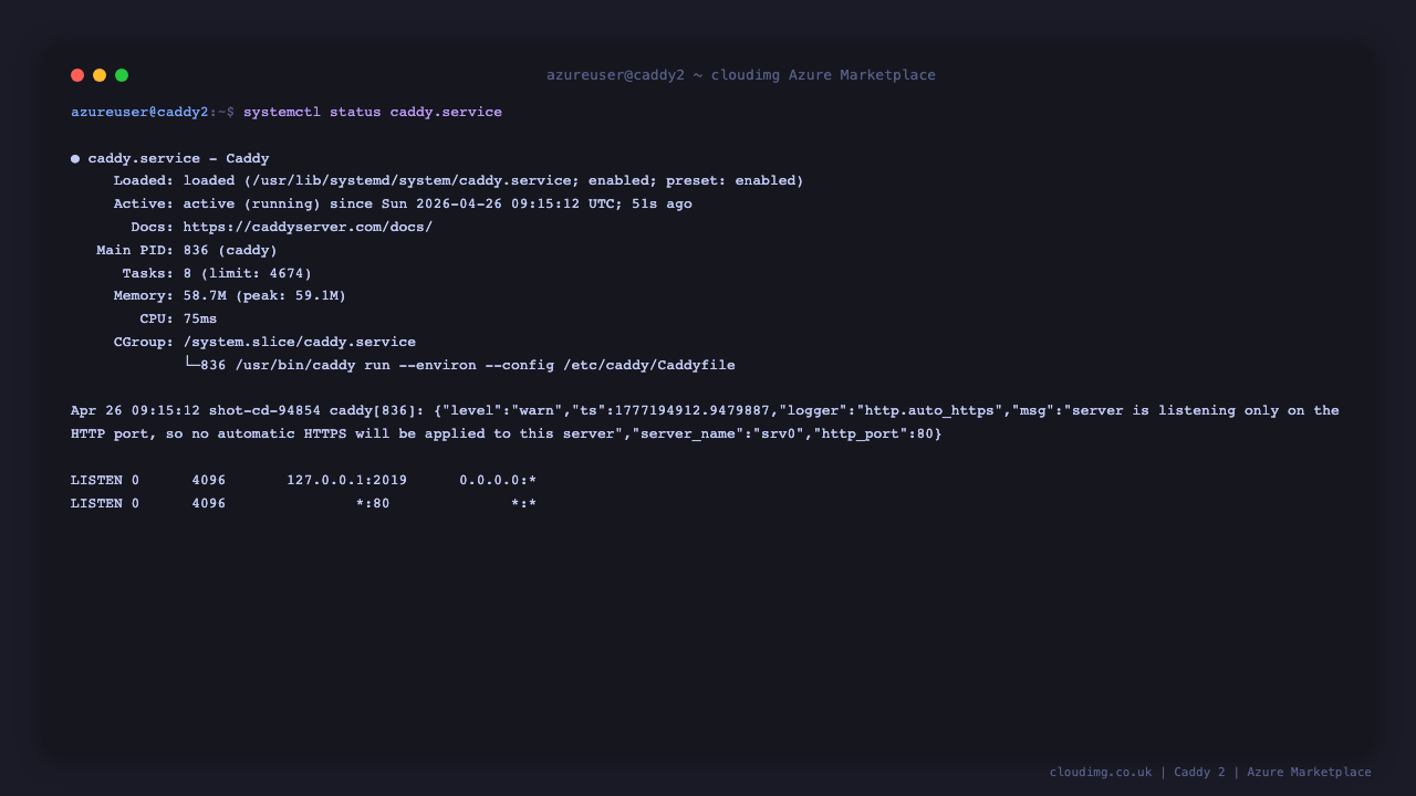caddy.service active and listening on TCP 80 plus the loopback admin API on TCP 2019