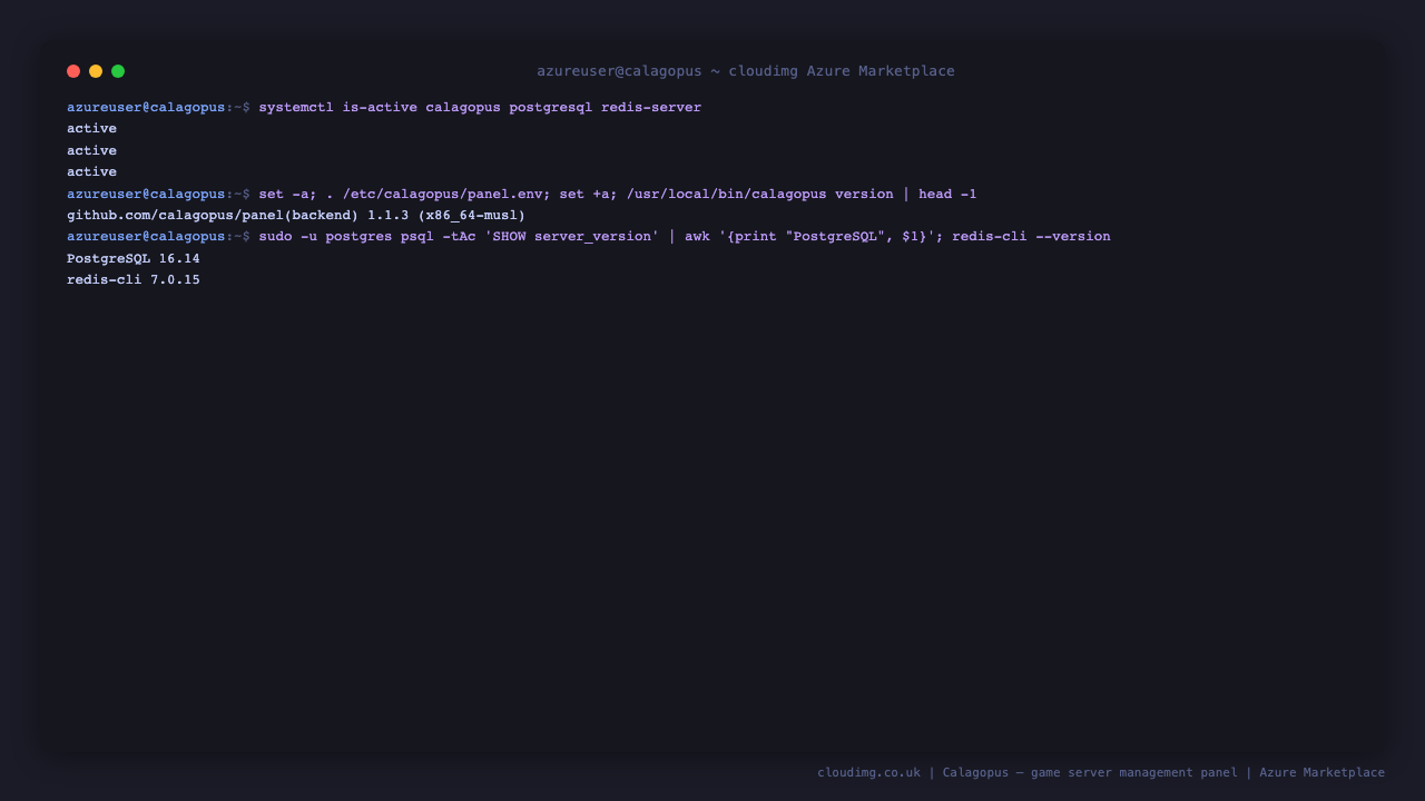 Calagopus services and component versions on a freshly launched VM