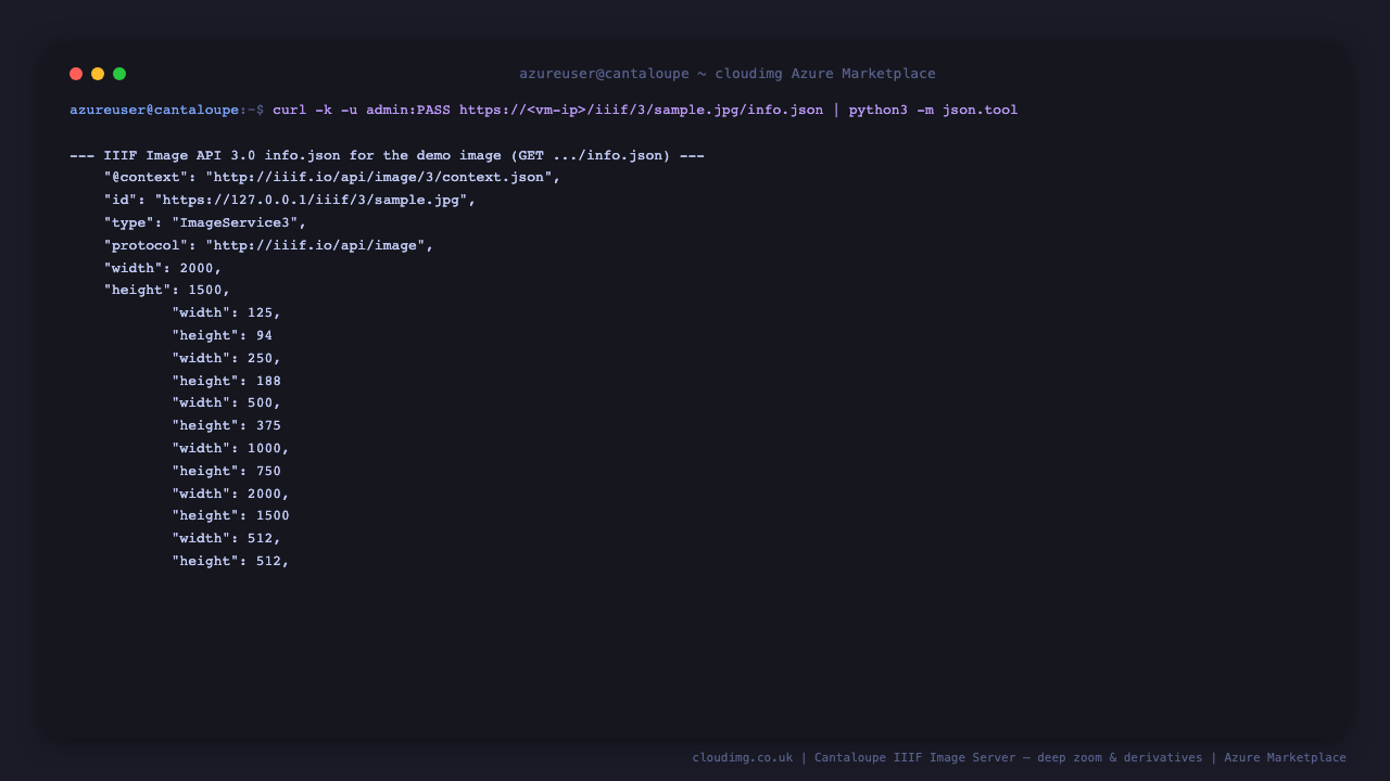 Terminal showing the IIIF Image API 3.0 info.json for the demo image with its context, ImageService3 type, full width and height, and the pyramid of available sizes and tiles