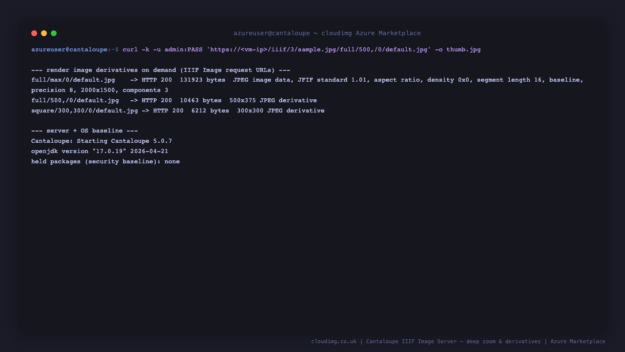 Terminal showing three IIIF image derivatives rendered on demand, the full 2000x1500 image, a 500x375 thumbnail and a 300x300 square crop, each returning HTTP 200, alongside the Cantaloupe and Java version baseline