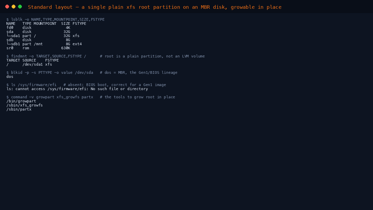 Terminal showing lsblk with root on the single plain partition sda1 formatted xfs, findmnt confirming root is dev sda1 xfs, blkid reporting the dos MBR partition table, an absent sys firmware efi directory confirming BIOS boot, and growpart xfs_growfs and partx all present