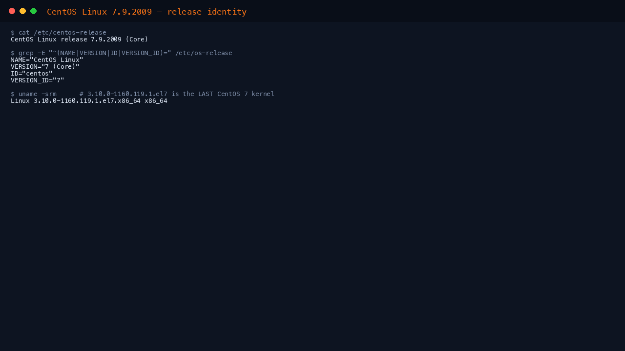 Terminal showing cat of etc centos-release reporting CentOS Linux release 7.9.2009 Core, os-release fields ID centos and VERSION_ID 7, and uname reporting the final 3.10.0-1160.119.1.el7 kernel on x86_64