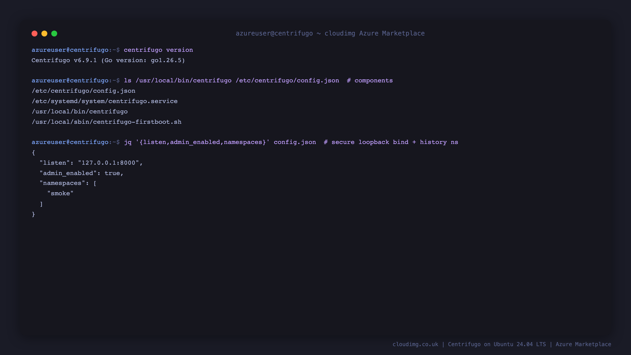 Centrifugo reporting version 6.9.1, the installed component paths, and the config showing the loopback bind, admin enabled and the smoke history namespace