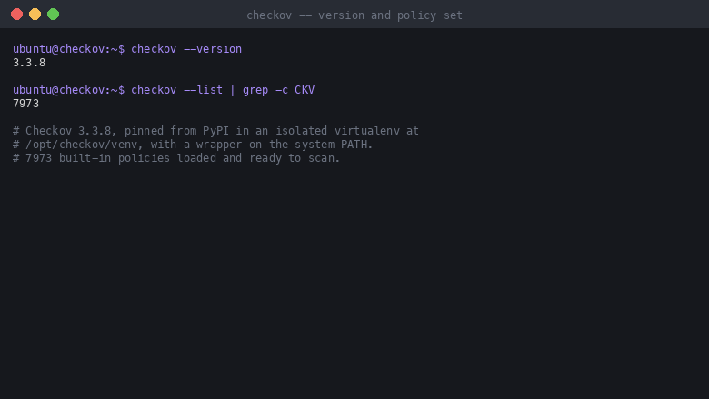 Checkov reporting the pinned 3.3.8 release and the count of built-in policies loaded on the cloudimg image