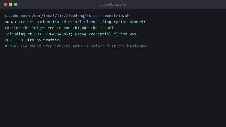 The cloudimg round trip self test prints ROUNDTRIP OK, confirming an authenticated fingerprint pinned client carried a unique marker end to end through the tunnel and that a wrong-credential client was rejected with no traffic