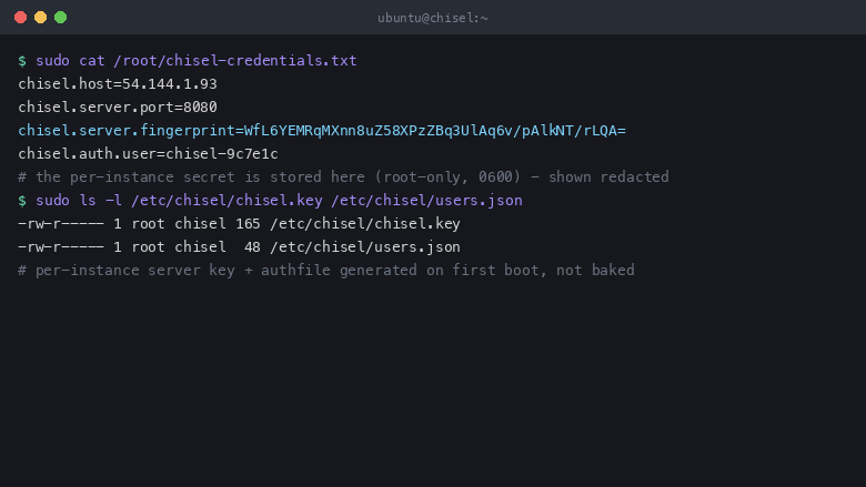 The per instance credentials file shows the resolved public endpoint, the server port, the per instance server fingerprint and the generated username, proving the values were minted on first boot rather than baked into the image