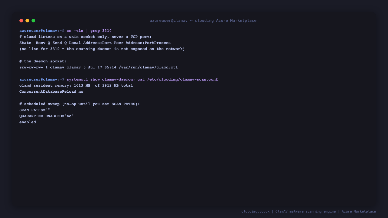 ClamAV posture: no TCP listener, unix socket only, memory use and the scheduled sweep configuration