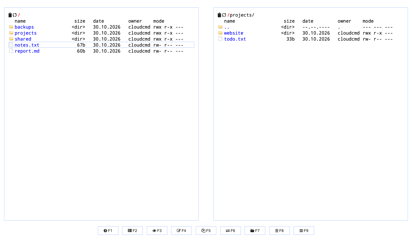 Cloud Commander's two panel file manager on cloudimg, with folders and files in the left panel and the projects folder open in the right