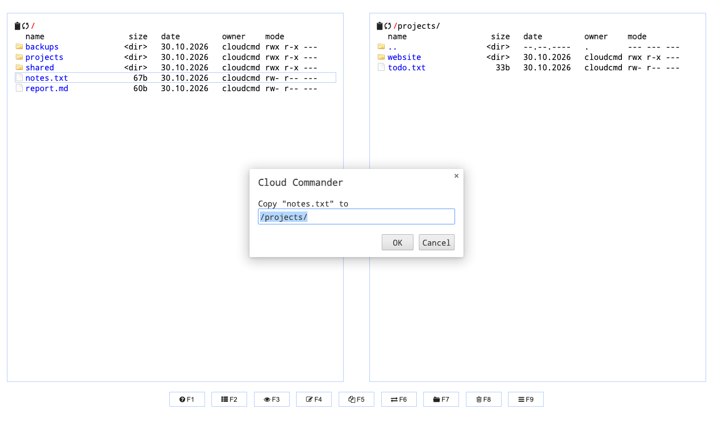 Copying a file from the left panel into the projects folder open in the right panel