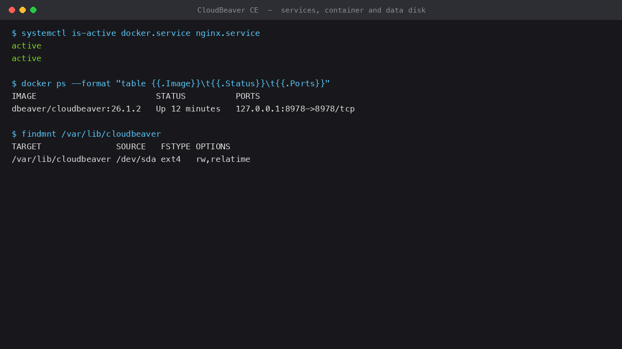 docker.service and nginx.service active, the CloudBeaver container running on the loopback connector 8978, and the dedicated data disk mounted at /var/lib/cloudbeaver