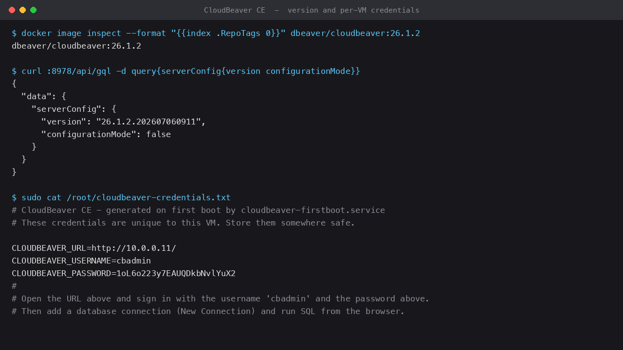 The CloudBeaver version reported by the GraphQL endpoint and the per-VM credentials file with the generated admin password and URL